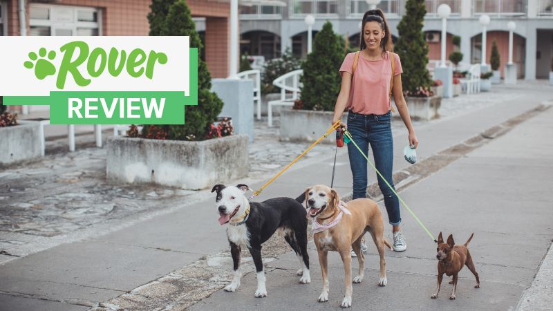 Rover review