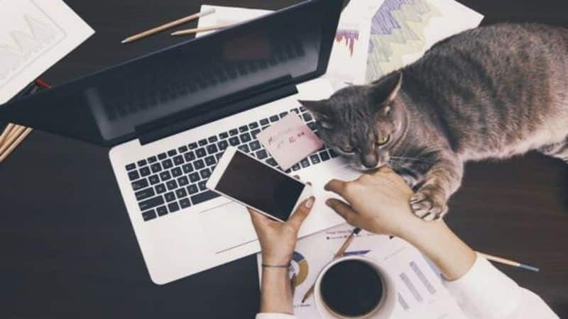 work from home feattured